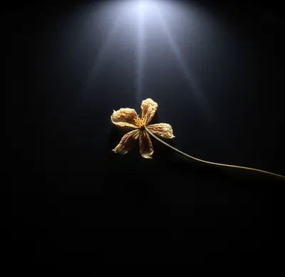 Illustration departed - Image 1