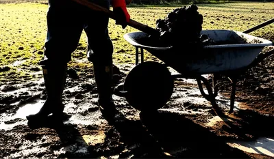 Illustration mucking