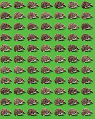 Illustration array - Image 1