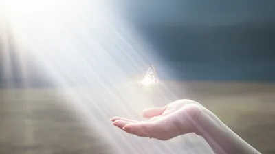 Illustration granted - Image 1