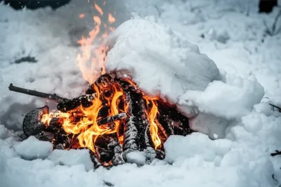 Illustration smothered - Image 1