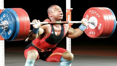 Illustration bulking - Image 1