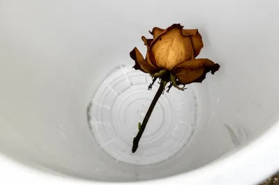 单词"unwanted"的视觉插图 - 不受欢迎的人，多余的人。
