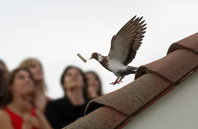 Illustration returns - Image 1