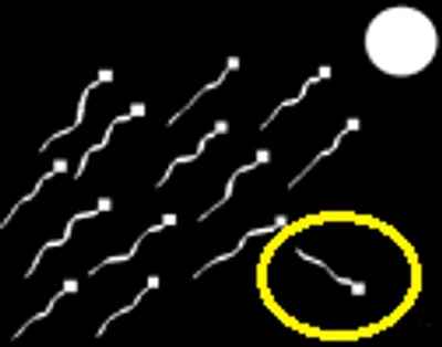 Illustration deviate - Image 3