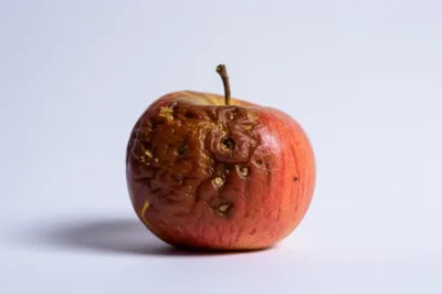 Illustration disagreeable