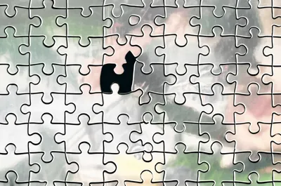 Illustration fits - Image 1