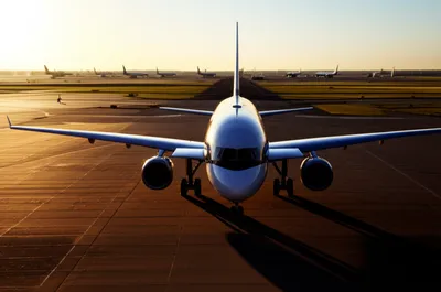 Illustration backtracks - Image 1