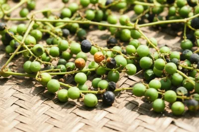 Illustration peppers - Image 1