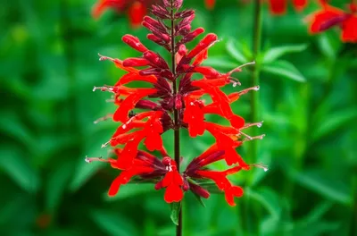 Illustration cards - Image 1