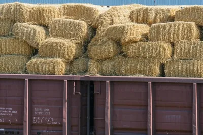 Illustration carr - Image 1