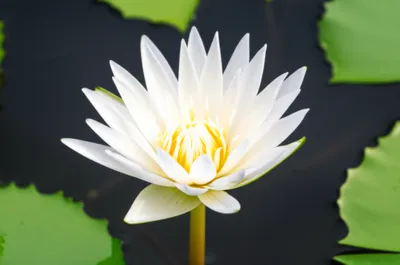 Illustration pure - Image 1