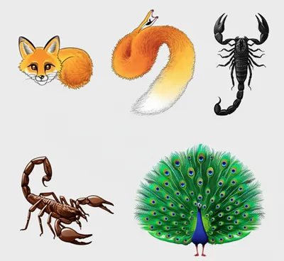 Illustration tailed - Image 1