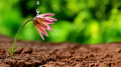 Illustration refreshes - Image 1