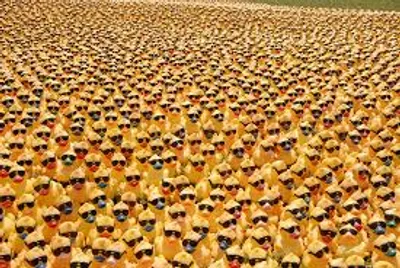 Illustration heap - Image 3