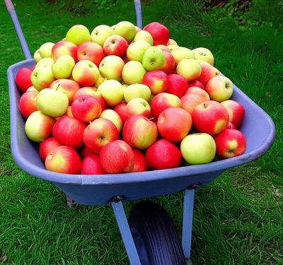 Illustration heaped - Image 1