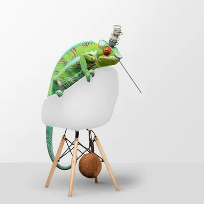 Illustration oddball - Image 1