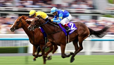 Illustration nose - Image 1