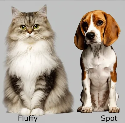 Illustration binominal - Image 1