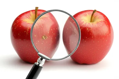 Illustration diacritical - Image 1