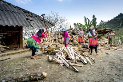 Hình ảnh minh họa cleaved - Ảnh 1