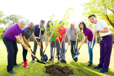 Illustration honouring - Image 1