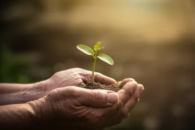 Illustration comforting - Image 1