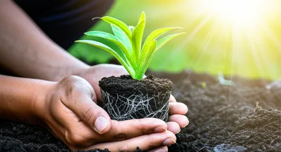 Illustration owning - Image 1