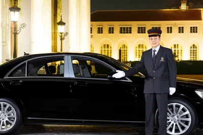 Illustration limos - Image 1