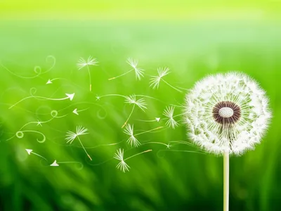 Illustration blows - Image 1