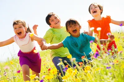 Illustration unstudied