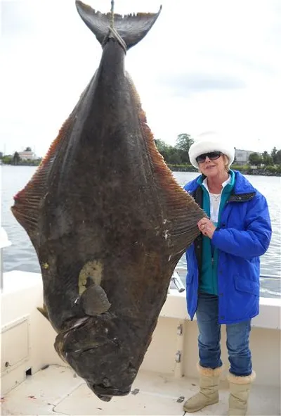 Illustration halibut - Image 2