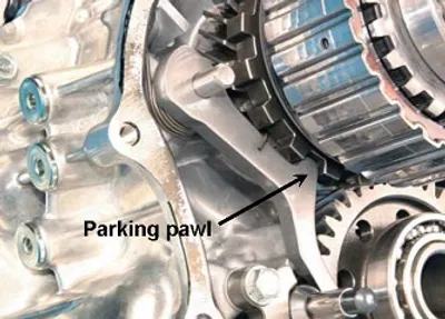 Illustration park - Image 2