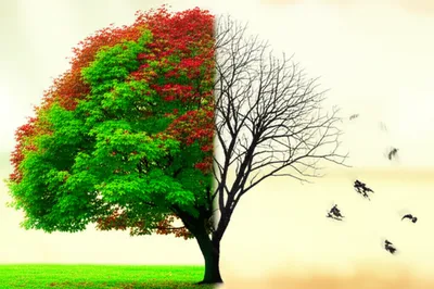 Illustration grayed - Image 1