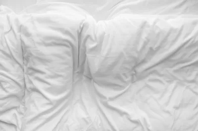 Illustration sheeted - Image 1