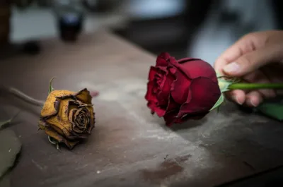 Illustration stale - Image 1