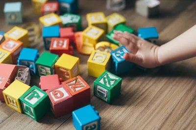 Illustration squabble - Image 1