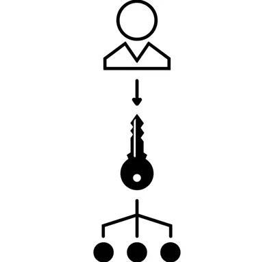 Illustration root - Image 1