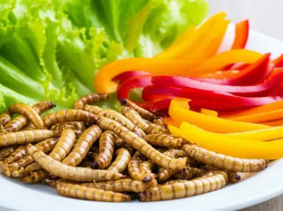 Illustration grubs - Image 1