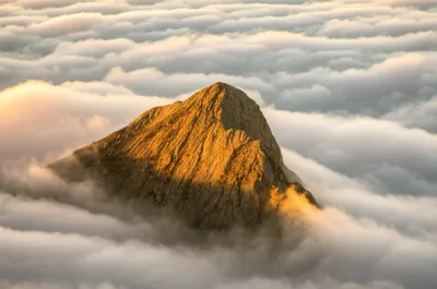 Illustration topping - Image 1