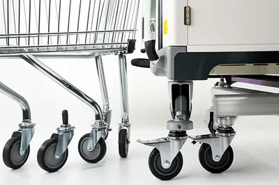 Illustration castors - Image 1