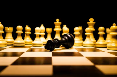 Illustration trouncing - Image 1