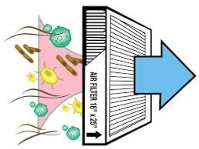 Illustration purify - Image 2