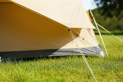 Illustration fly - Image 1