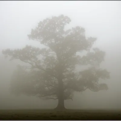 Illustration enwrap - Image 1