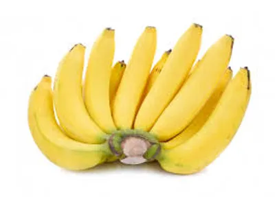 Illustration hand - Image 5