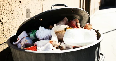 Illustration fetid - Image 1