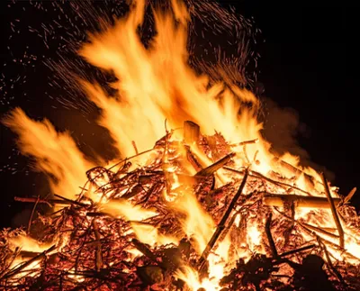 Illustration bale - Image 1