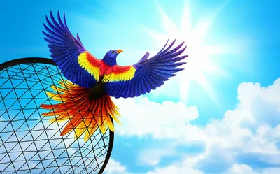 Illustration scape - Image 1