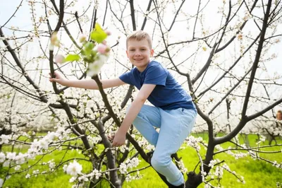 Illustration sprigs - Image 1